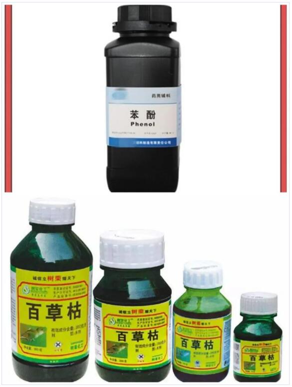 <a href='http://cdjdkj.cn' title='國際貨運代理' >國際貨運代理</a>